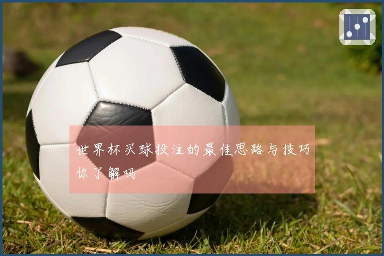 世界杯买球投注的最佳思路与技巧你了解吗