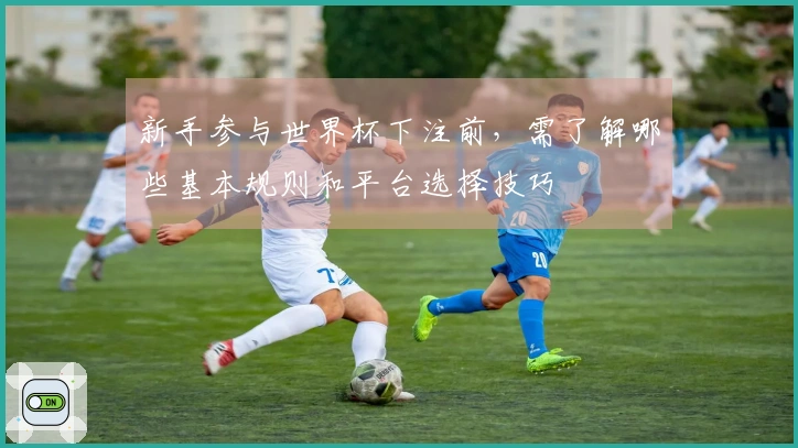 新手参与世界杯下注前，需了解哪些基本规则和平台选择技巧