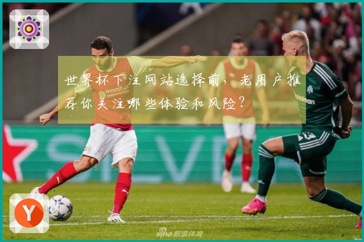 世界杯下注网站选择前，老用户推荐你关注哪些体验和风险？