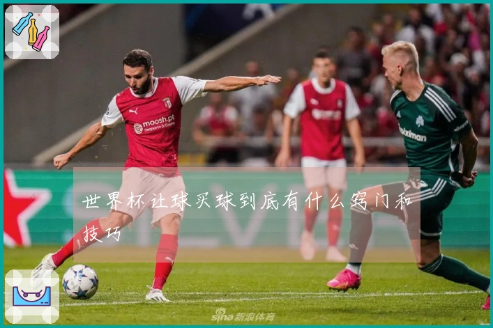 世界杯让球买球到底有什么窍门和技巧