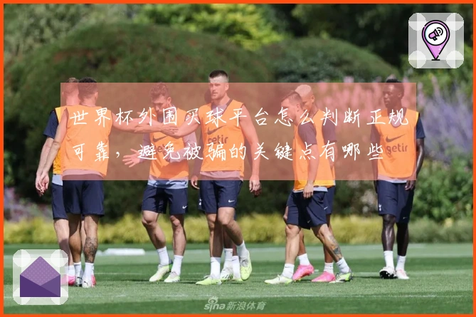 世界杯外围买球平台怎么判断正规可靠,避免被骗的关键点有哪些